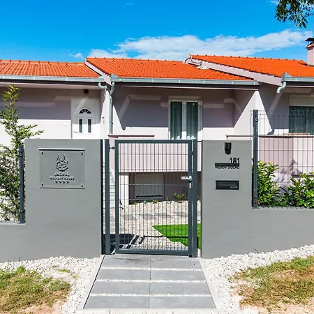 Jackal House